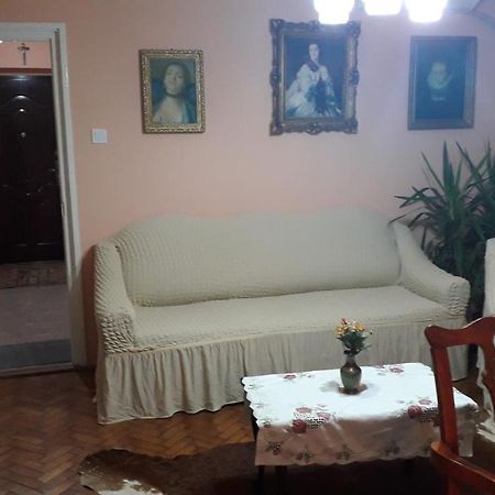 Cozy, Central 1-Bedroom Apartment In Timisoara, Romania エクステリア 写真