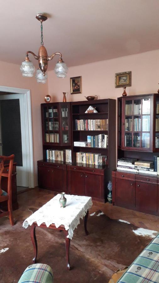 Cozy, Central 1-Bedroom Apartment In Timisoara, Romania エクステリア 写真