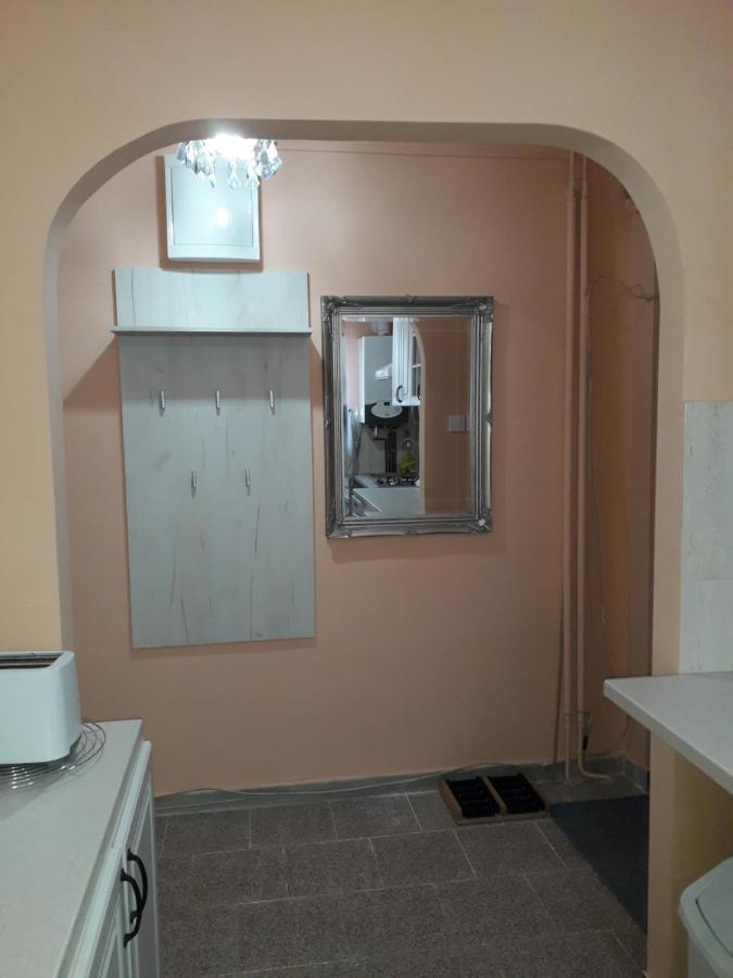 Cozy, Central 1-Bedroom Apartment In Timisoara, Romania エクステリア 写真