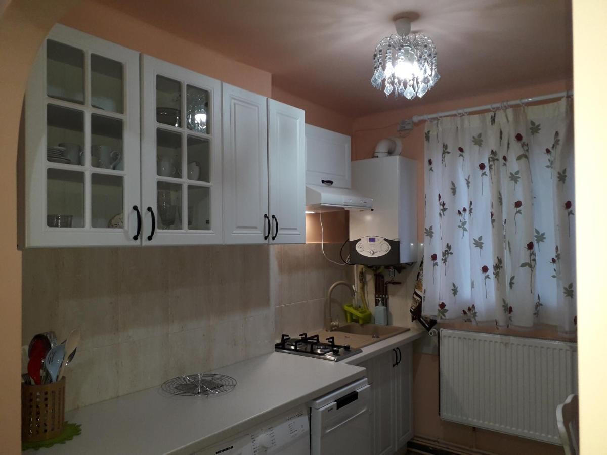 Cozy, Central 1-Bedroom Apartment In Timisoara, Romania エクステリア 写真
