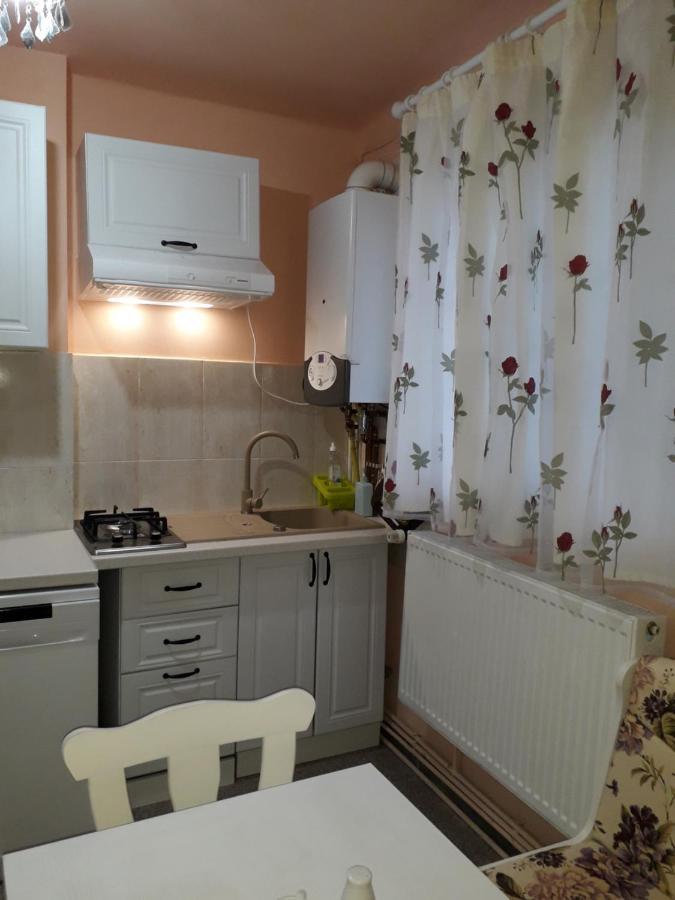 Cozy, Central 1-Bedroom Apartment In Timisoara, Romania エクステリア 写真