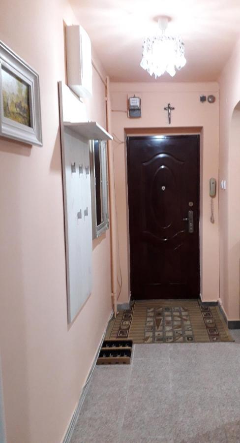 Cozy, Central 1-Bedroom Apartment In Timisoara, Romania エクステリア 写真