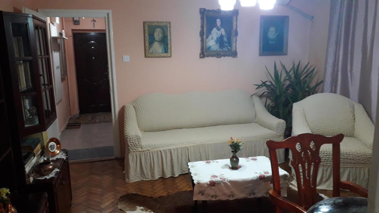 Cozy, Central 1-Bedroom Apartment In Timisoara, Romania エクステリア 写真